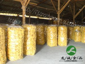 掘金農業新藍海 農產品代理加盟與食用農產品批發市場機遇解析
